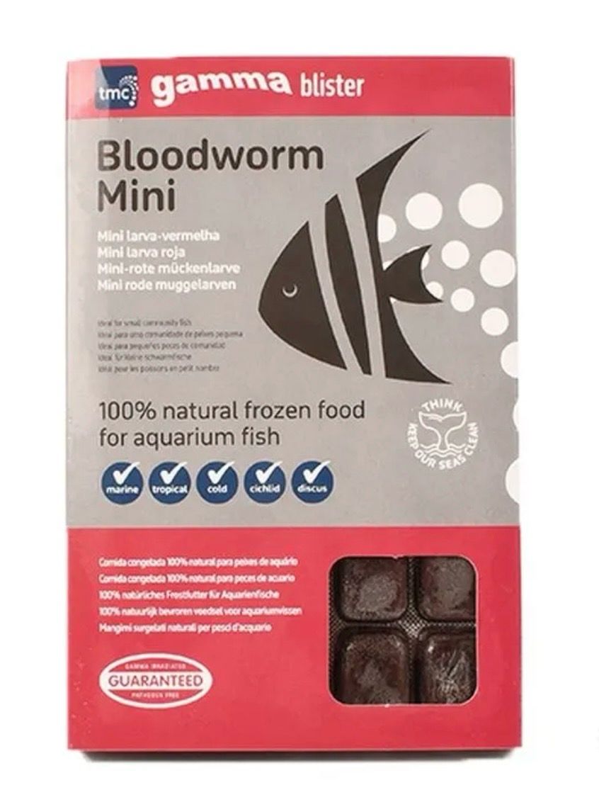 ❄️ Gamma Larva Roja Mini Concentrada 100 g – Bloodworm Mini 