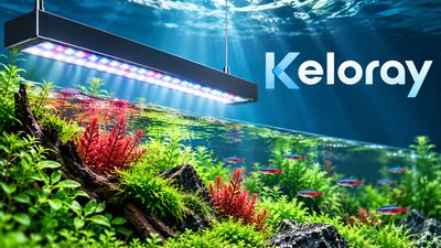 Keloray