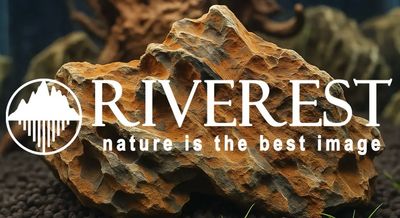 ?️ Arenas Riverest | Sustratos naturales para aquascaping