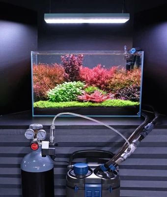⚙️? Técnica para Acuarios | Equipamiento esencial para un acuario perfecto