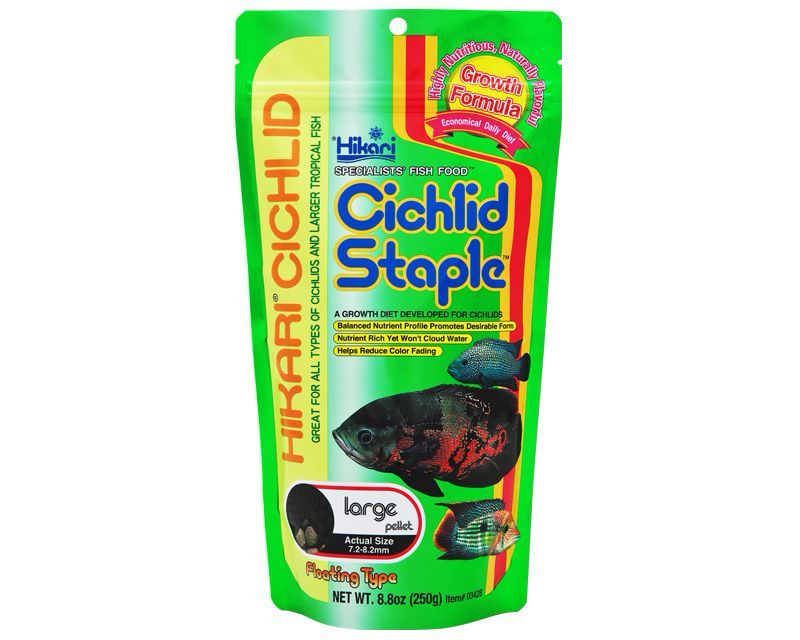 ? Hikari Cichlid Staple  Pellets 250gr