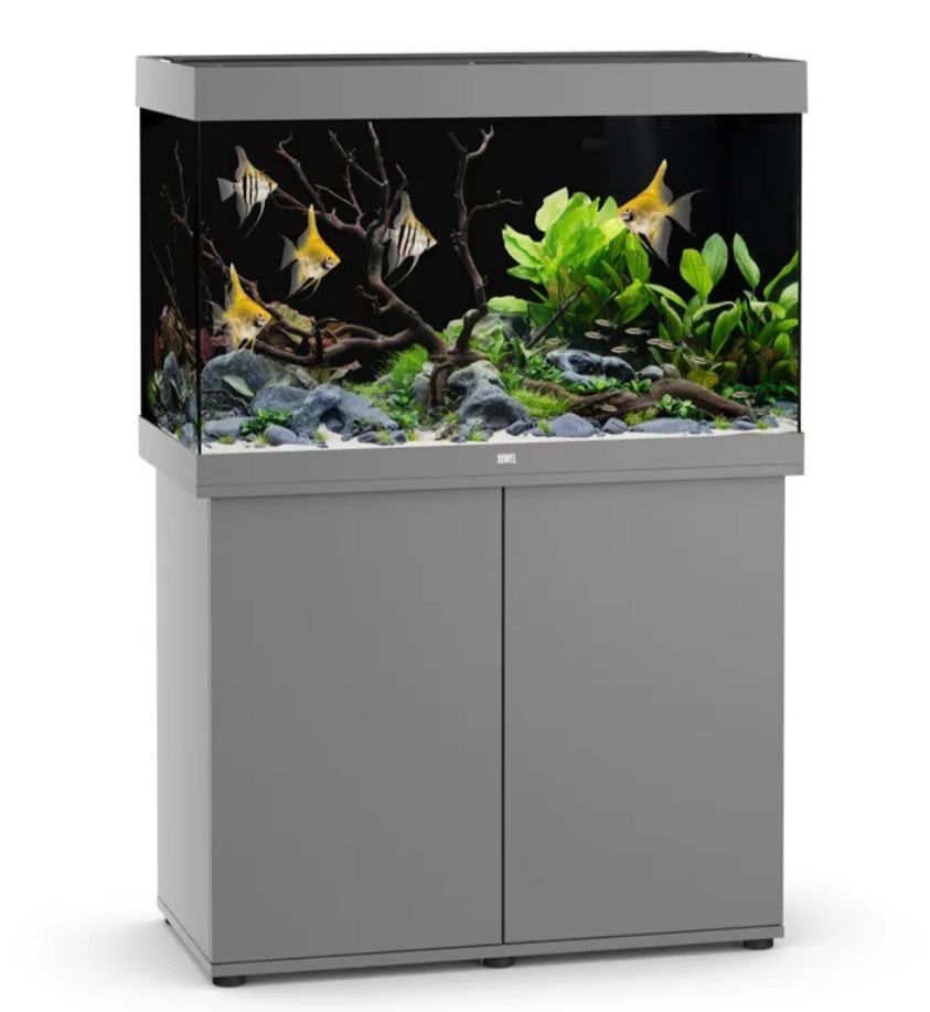 ? Acuario Juwel RIO 125 LED (Gris) — Kit completo con iluminación y filtración integrada