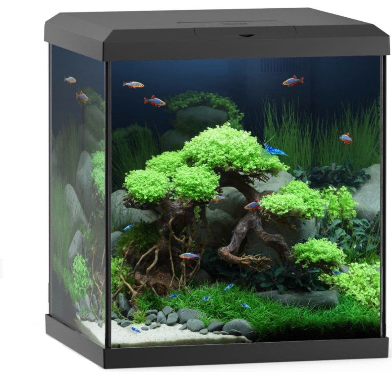 ? JUWEL VIO CUBE 54 Negro — Acuario completo con iluminación integrada