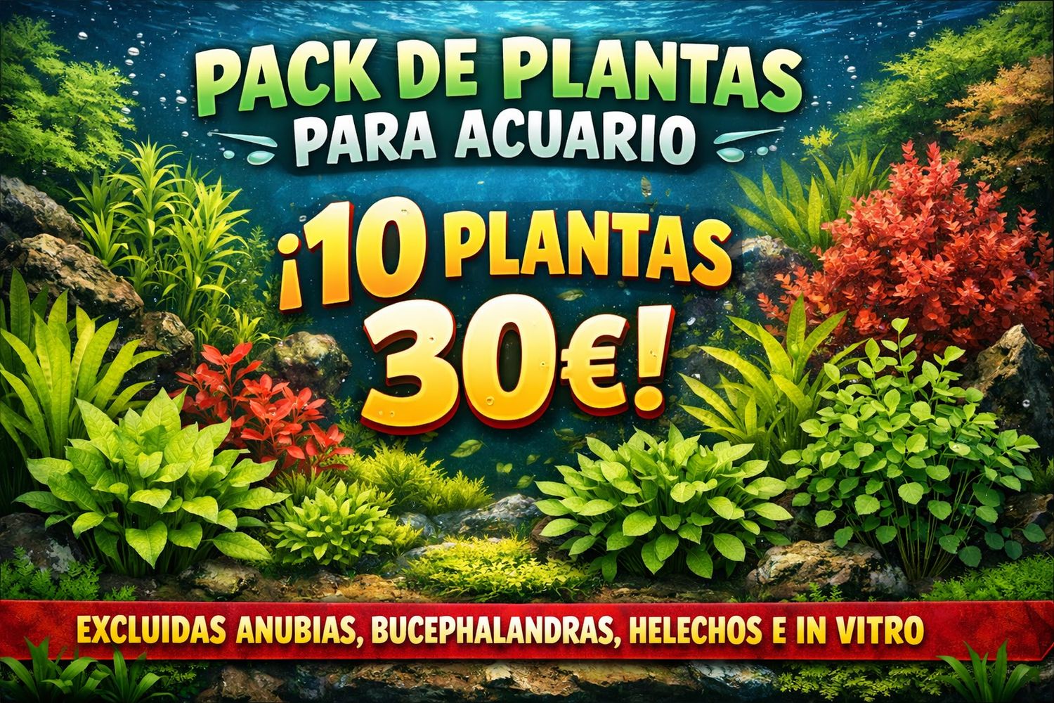 ? Lote 10 Plantas Surtidas Fáciles — Selección Premium para Acuarios de Bajo Mantenimiento