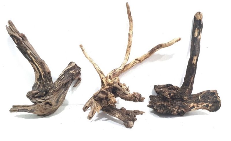 Raíz Coral Sinker talla S