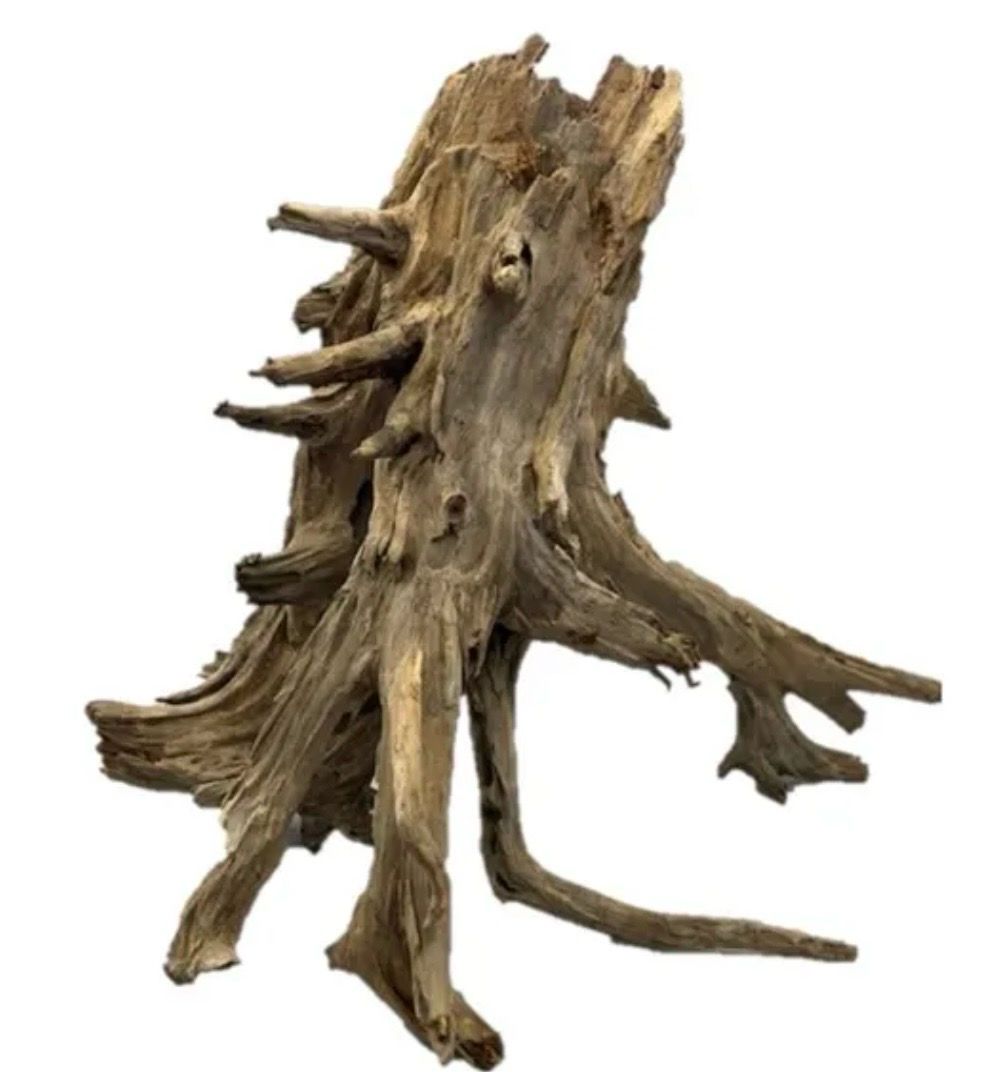 ?? Driftwood Hole & Root — Raíz natural de río para acuario