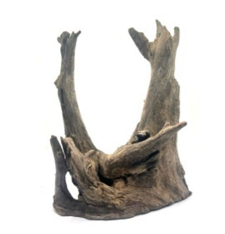 Natural old tree root (Tamaño: 21-30cm
