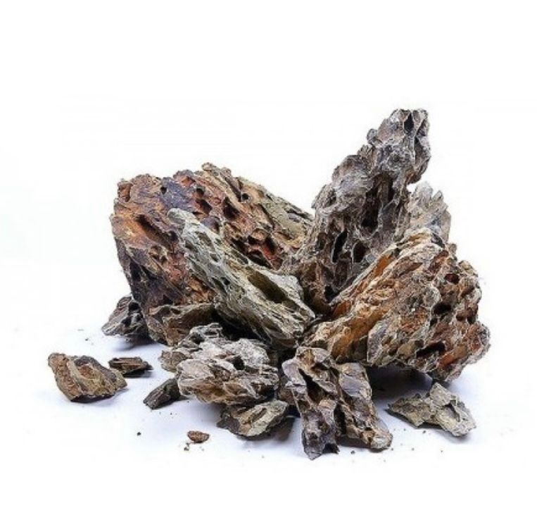 ?? Roca Dragón 20–40 cm — Piedra natural para aquascaping ?? Roca Dragón 20–40 cm — Piedra natural para aquascaping