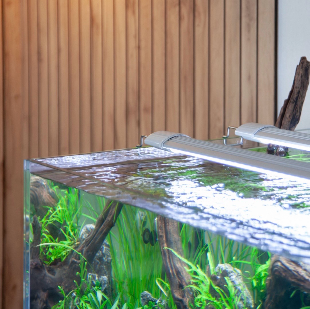 ? Acuario Prestige Ultra 100 blanco — Aquatlantis