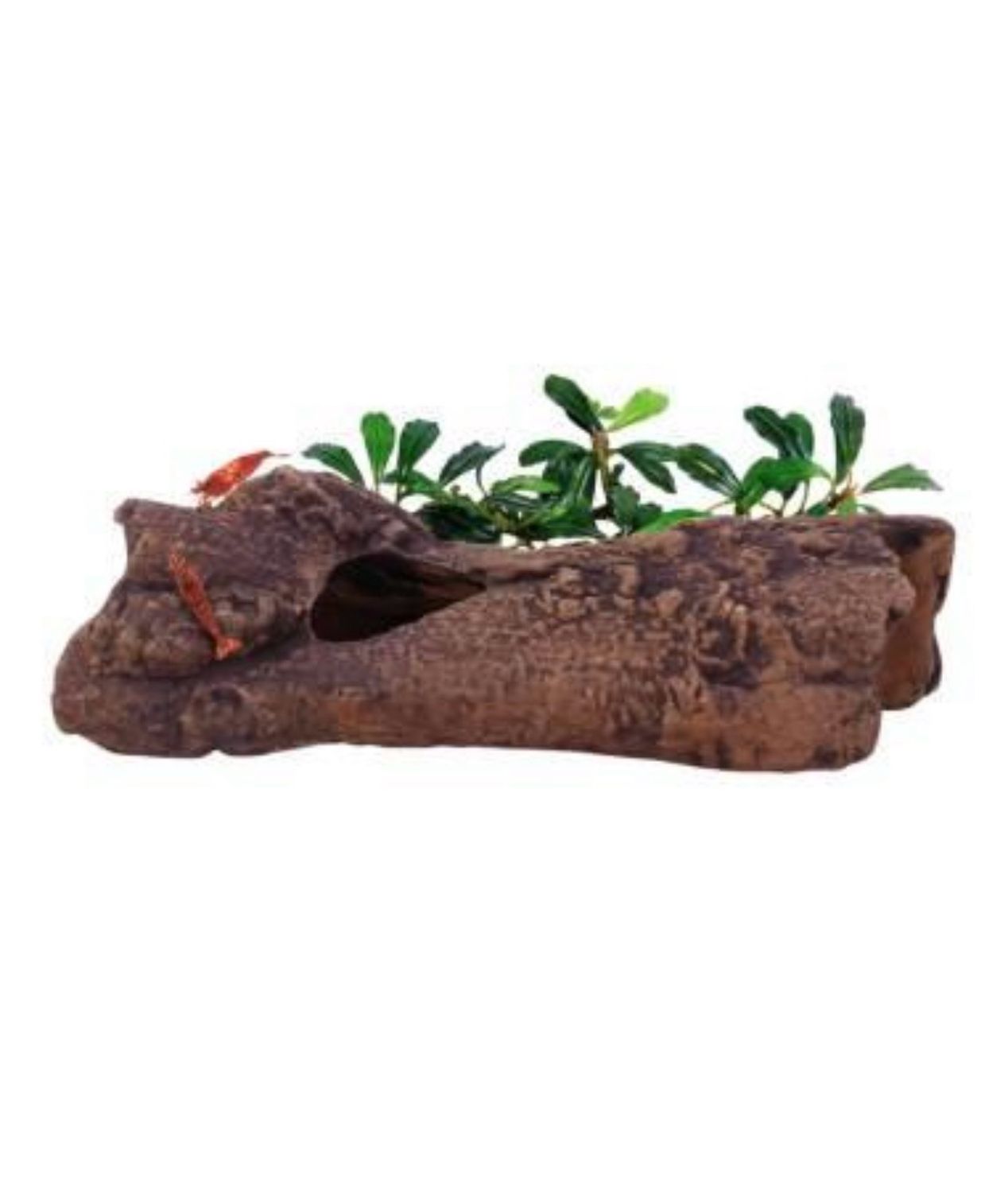 ?? Refugio cerámico tipo tronco – Ceramic Hide Model L1 Aquavitro