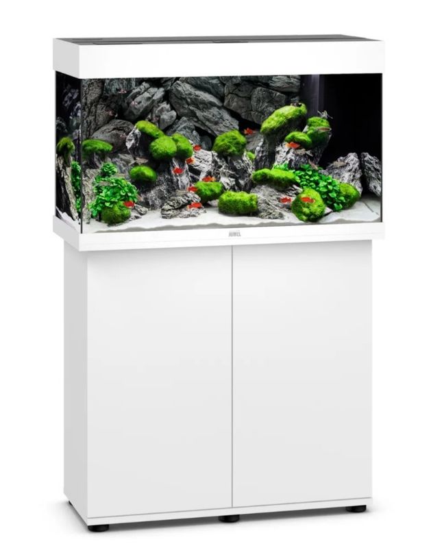 ? Acuario Juwel RIO 125 LED (Blanco) — Kit completo con iluminación y filtración integrada ? Acuario Juwel RIO 125 LED (Blanco) — Kit completo con iluminación y filtración integrada