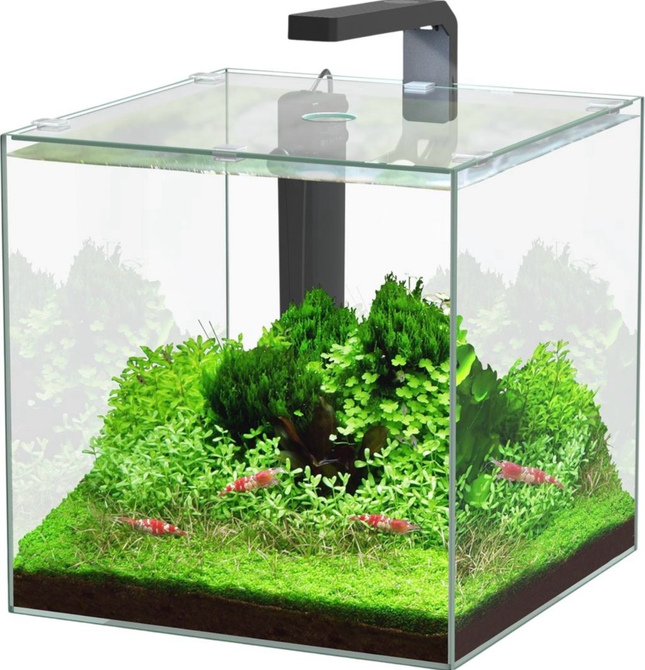 ?? Aquatlantis Kubus 22 Litros | Nano Acuario Completo