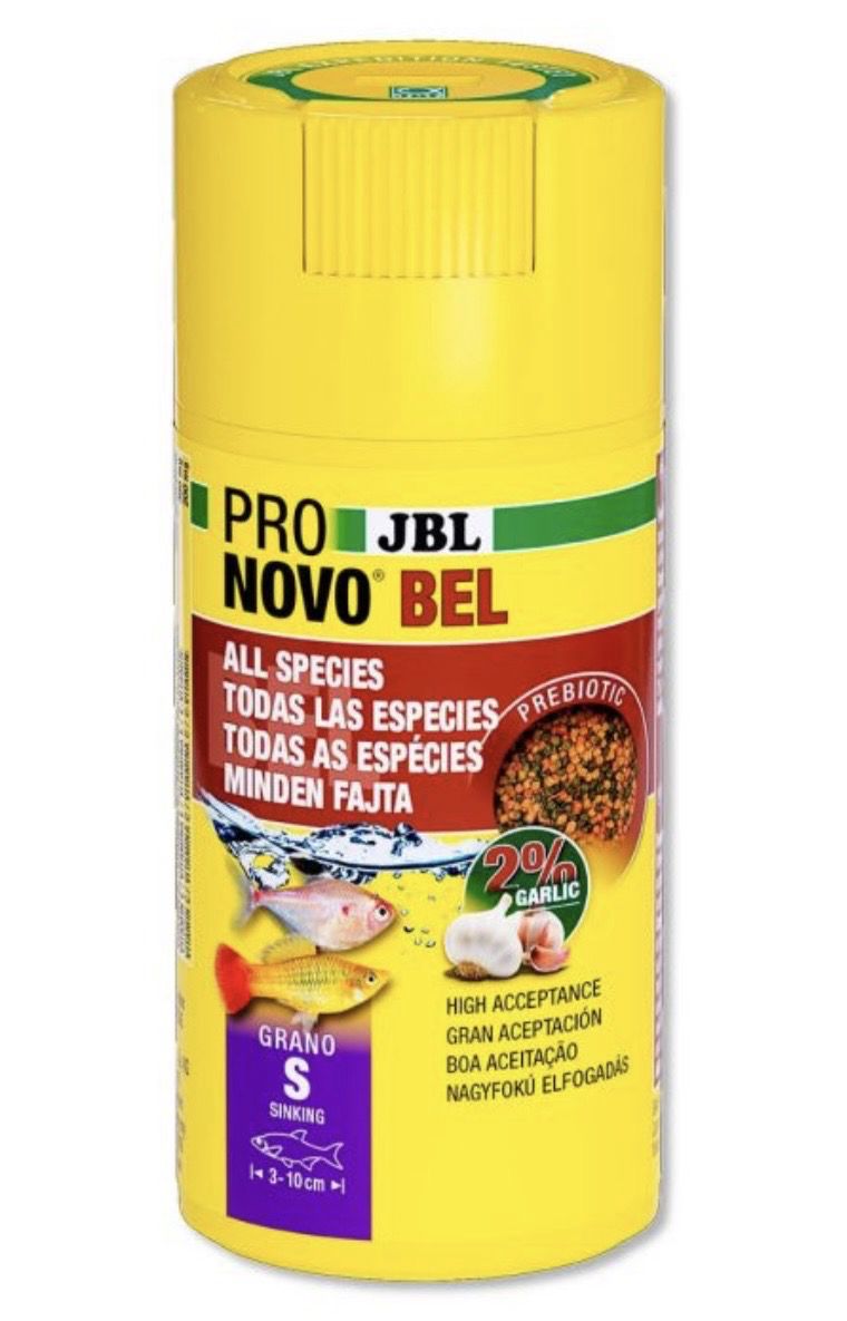 ? JBL ProNovo Bel Grano XXS 100 ml Click – Alimento granulado universal para peces pequeños