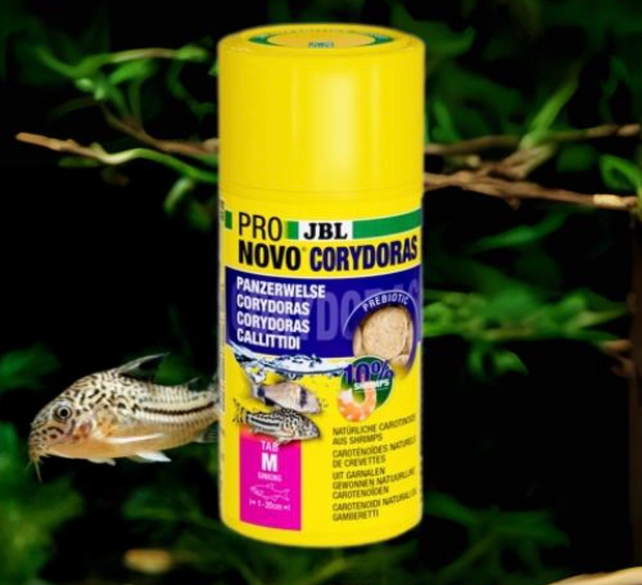 ? JBL ProNovo Corydoras Tab M 100 ml | Pastillas Premium para Corydoras