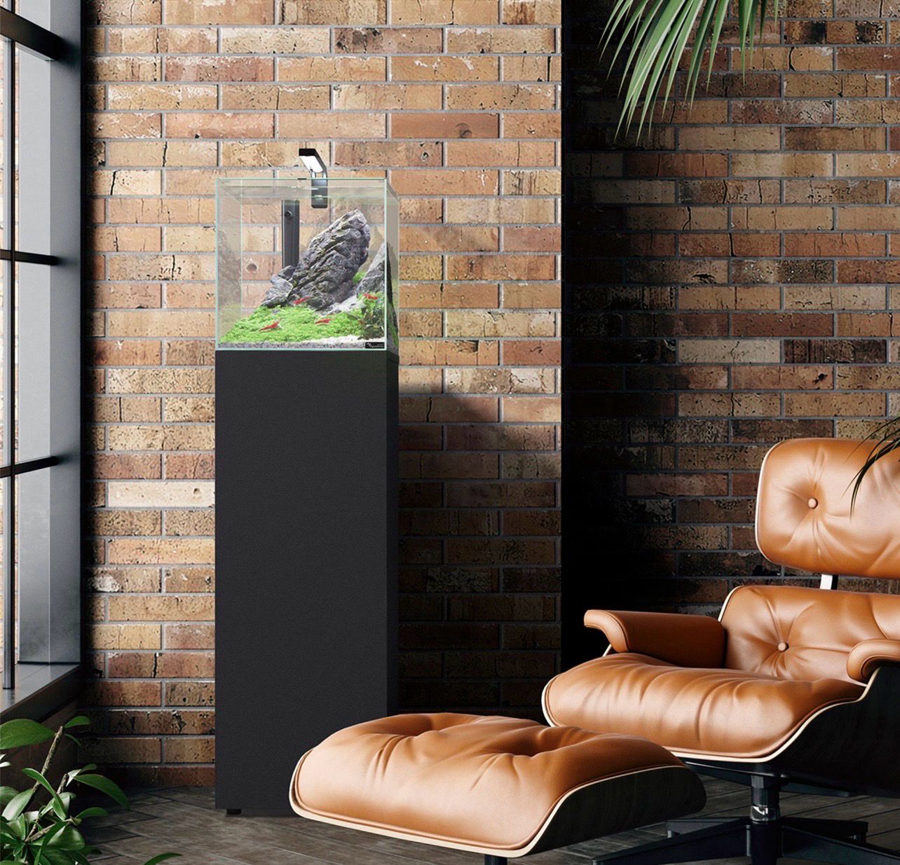 ? Aquatlantis KUBUS 33 Negro + Mesa | Acuario Completo con LED y Filtro ?✨