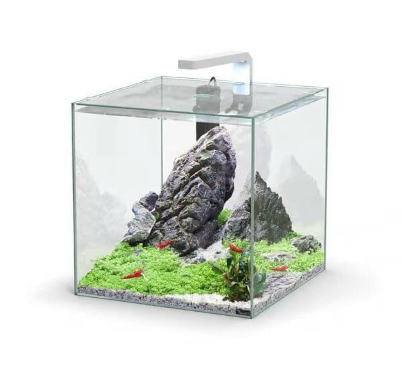 ? Aquatlantis KUBUS 54 Equipado | Acuario 54 Litros con LED y Filtro ??