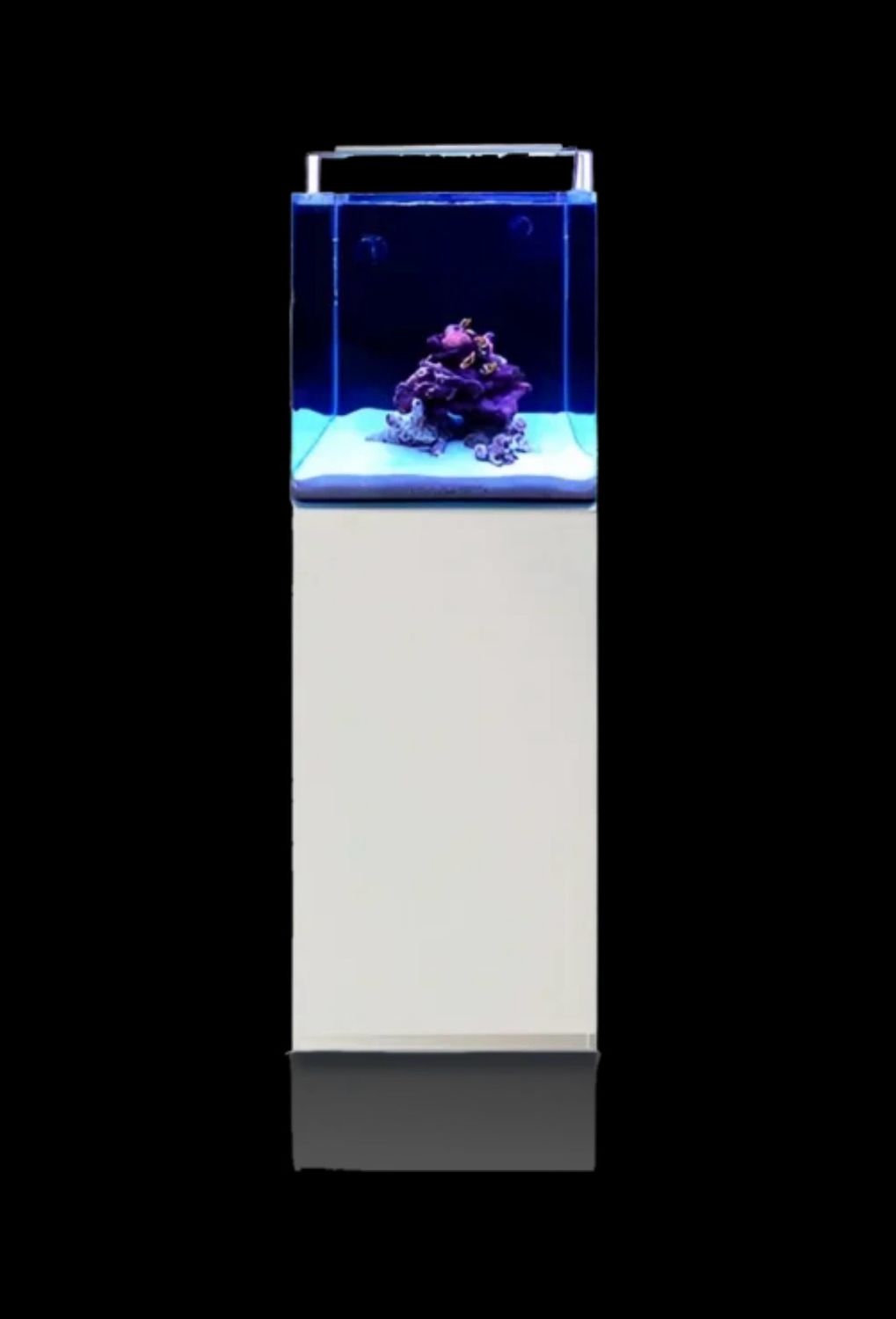 ? Blau SET Open Reef 45×45 Blanco | Acuario Marino 91 L con Sump ??