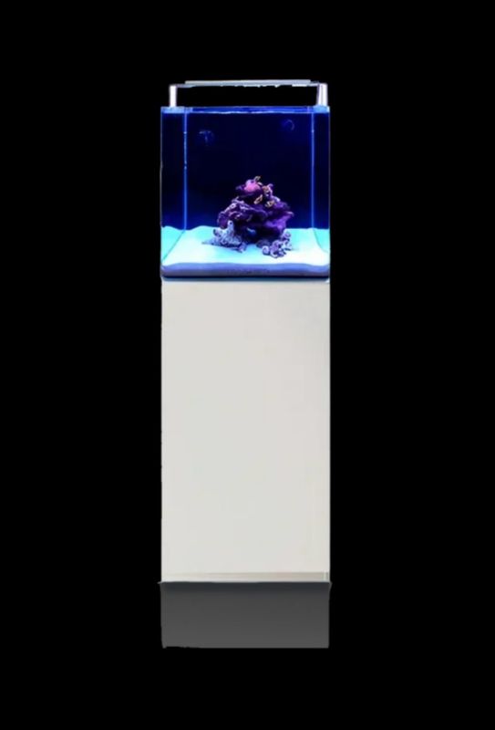 ? Blau SET Open Reef 45×45 Blanco | Acuario Marino 91 L con Sump ??