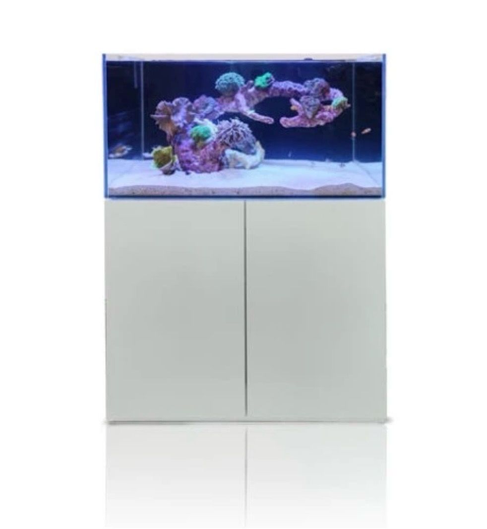 ? Blau Gran Cubic SUPER REEF 122 Blanco | Acuario Marino 366 L con Mueble y Sump ??