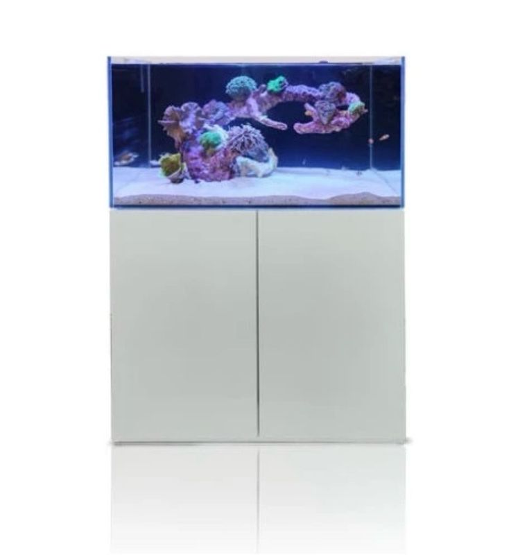 ? Blau Gran Cubic SUPER REEF 122 Blanco | Acuario Marino 366 L con Mueble y Sump ??