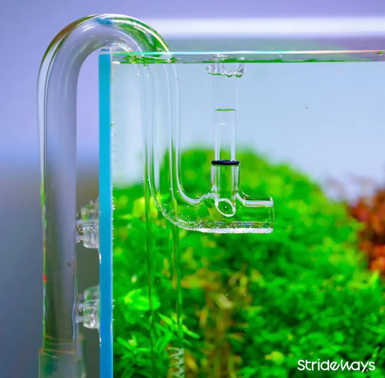 ? Strideways FlowSeries 16/22 mm Set | Pipas de Cristal Entrada y Salida para Filtro Exterior