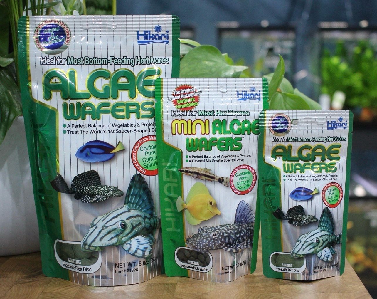 ? Hikari Algae Wafers 250 g | Alimento Premium para Plecos y Peces Herbívoros