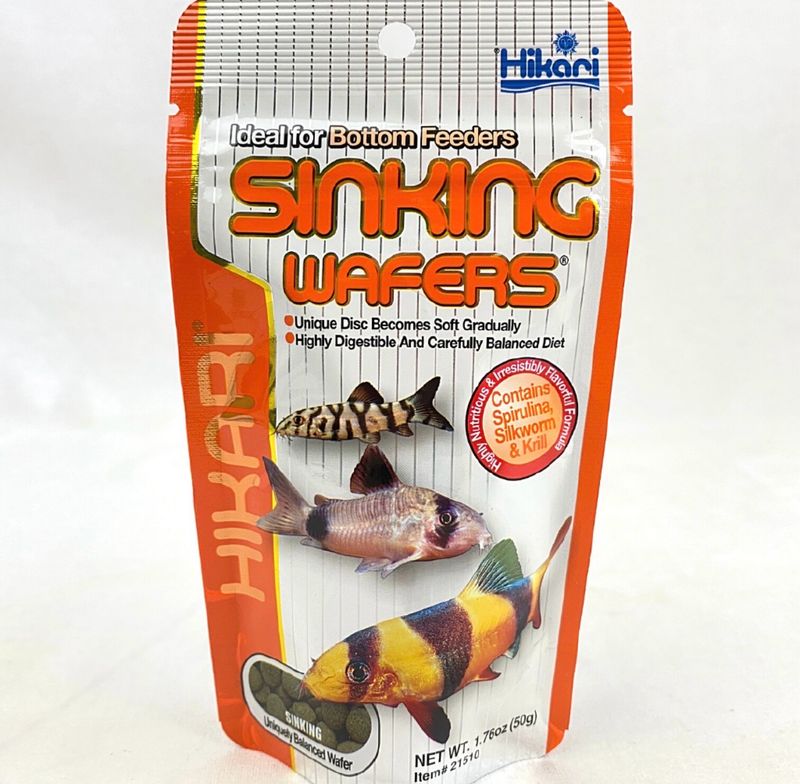 ? Hikari Sinking Wafers 50 g | Alimento para Corydoras y Peces de Fondo