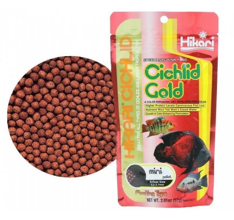 ? Hikari Cichlid Gold Mini 57 g – Alimento para Cíclidos