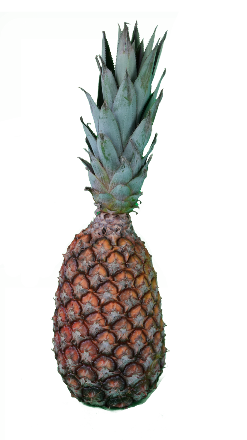 Ananas Abacaxi