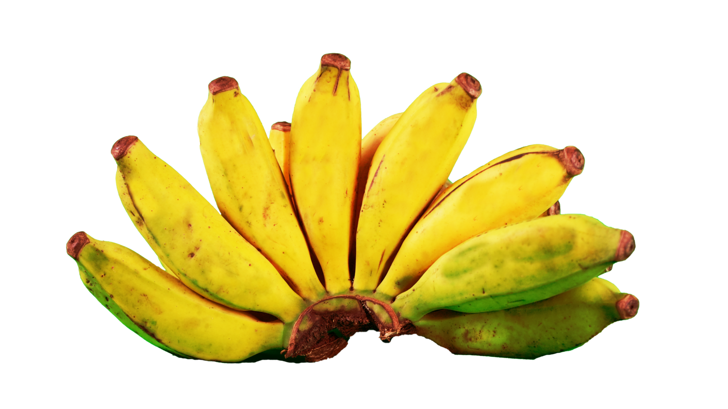 Apple Banana (Ouganda)