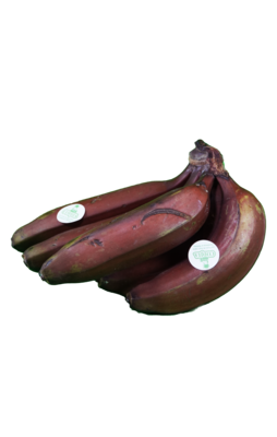 Banane Rose