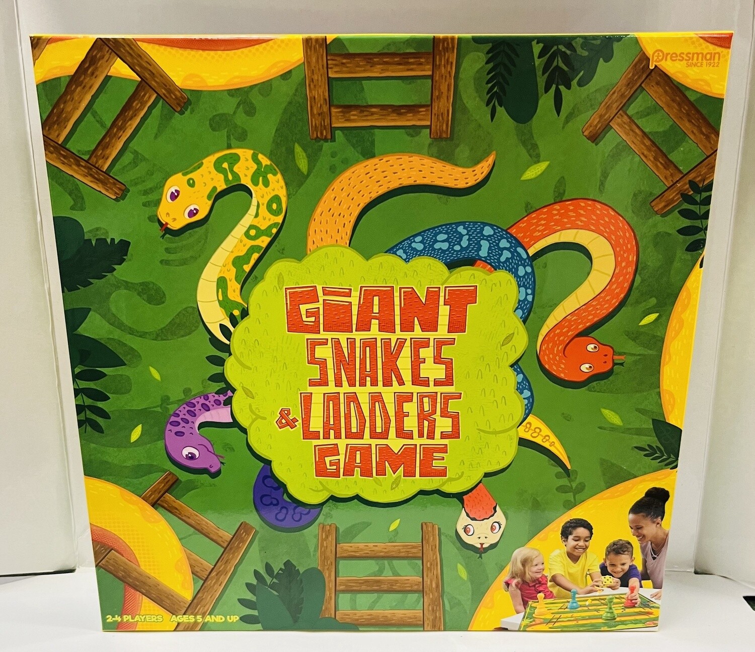 Giant Snakes and Ladders