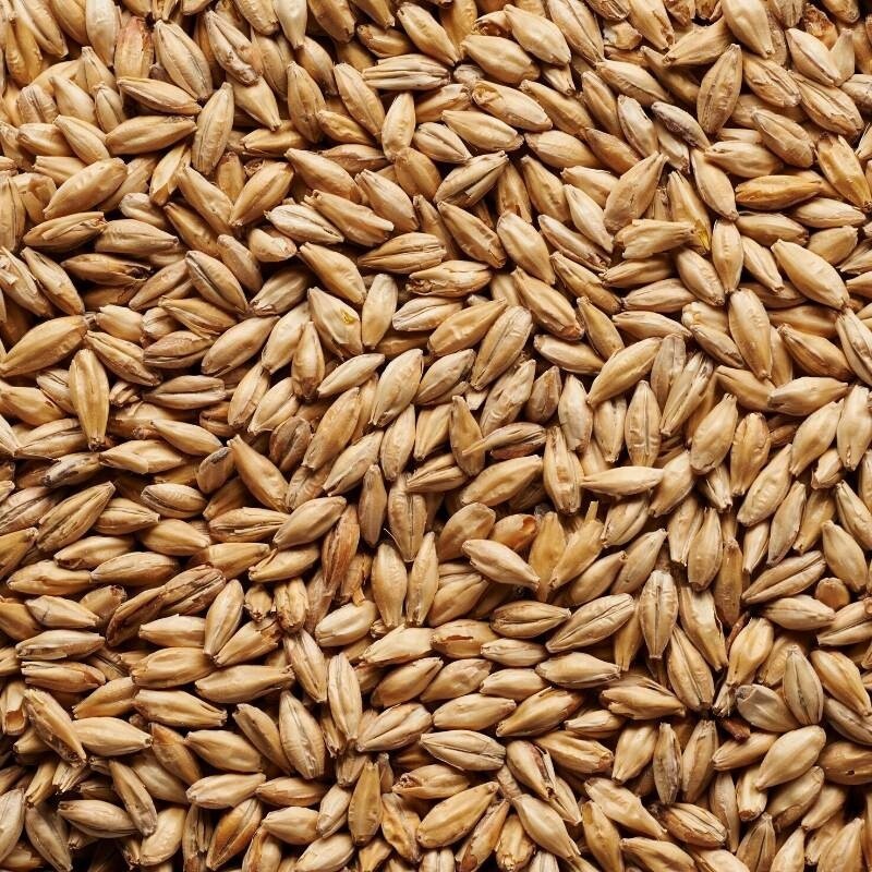 JW Light Munich Malt 1kg