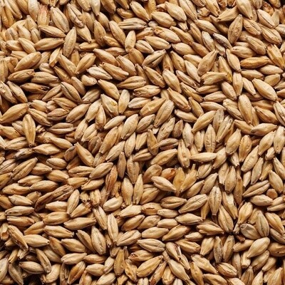 JW Light Munich Malt 1kg