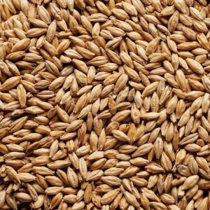JW Light Munich Malt 25kg