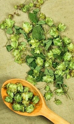 Saphir 100g hops