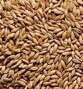 Jow White Traditional Ale Malt 25kg