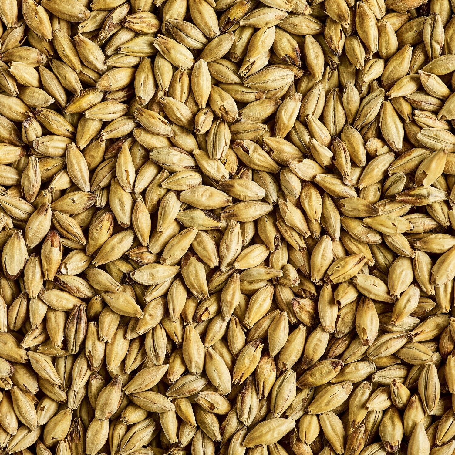 Simpsons Imperial Malt 1kg