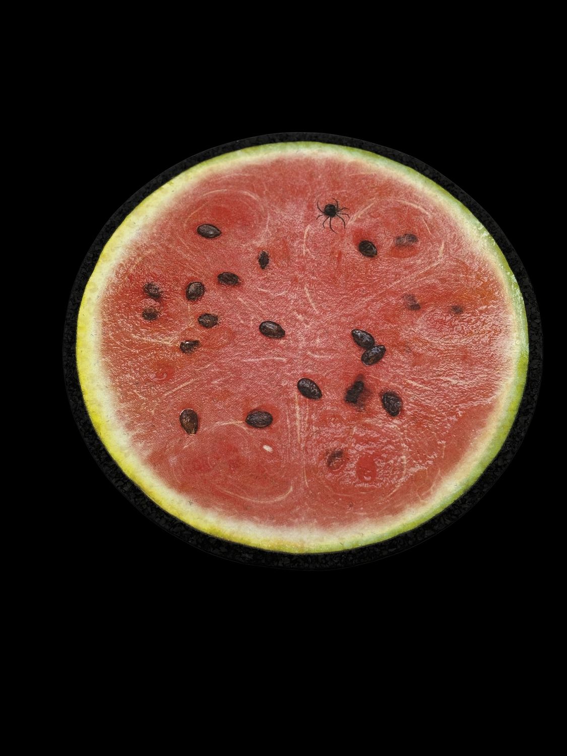 Widow Melon