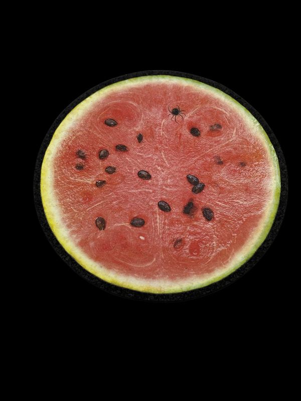 Widow Melon