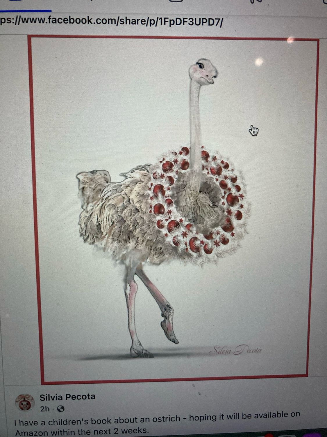 Support Ostrich Farms