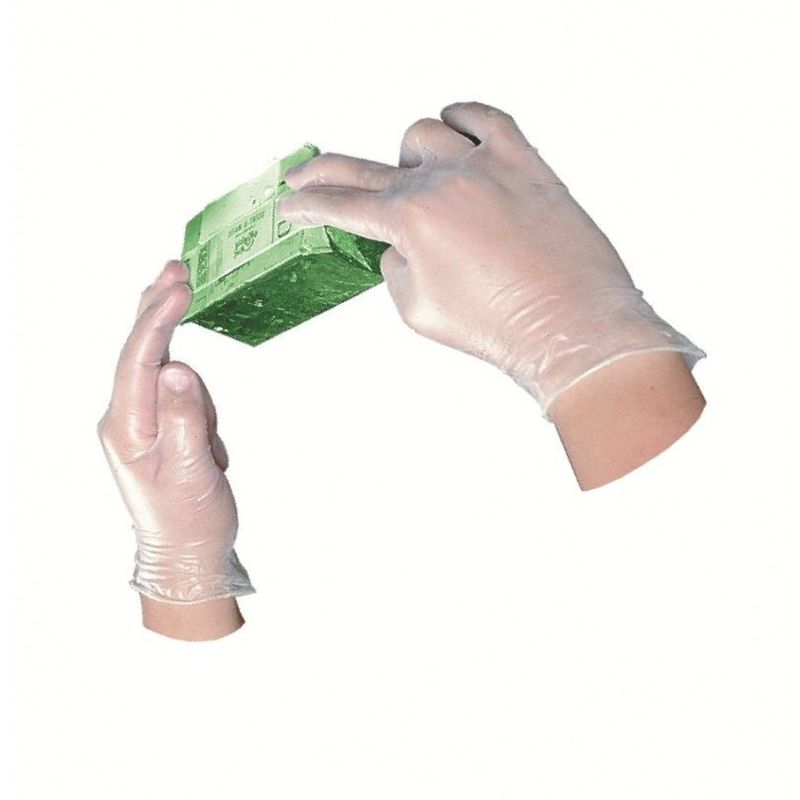 Vinyl Gloves Powder Free Large 10 x 100 1000/Case