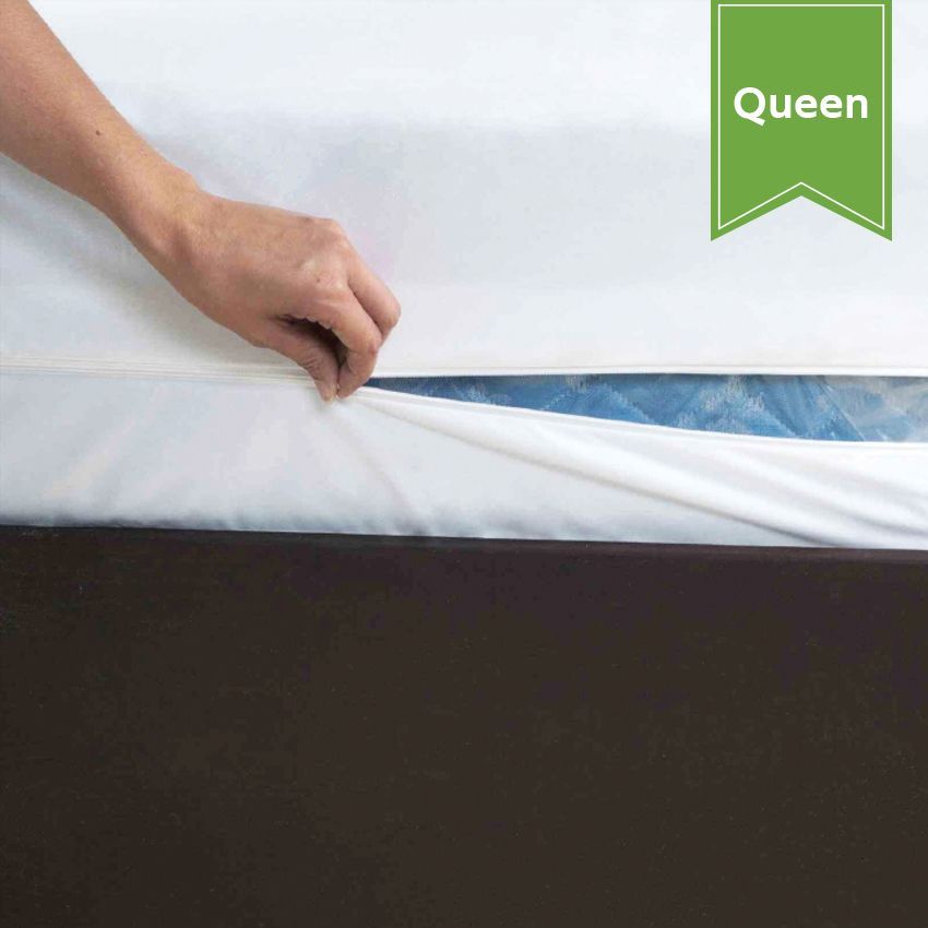 Belem Mattress Encasement Queen Single Piece