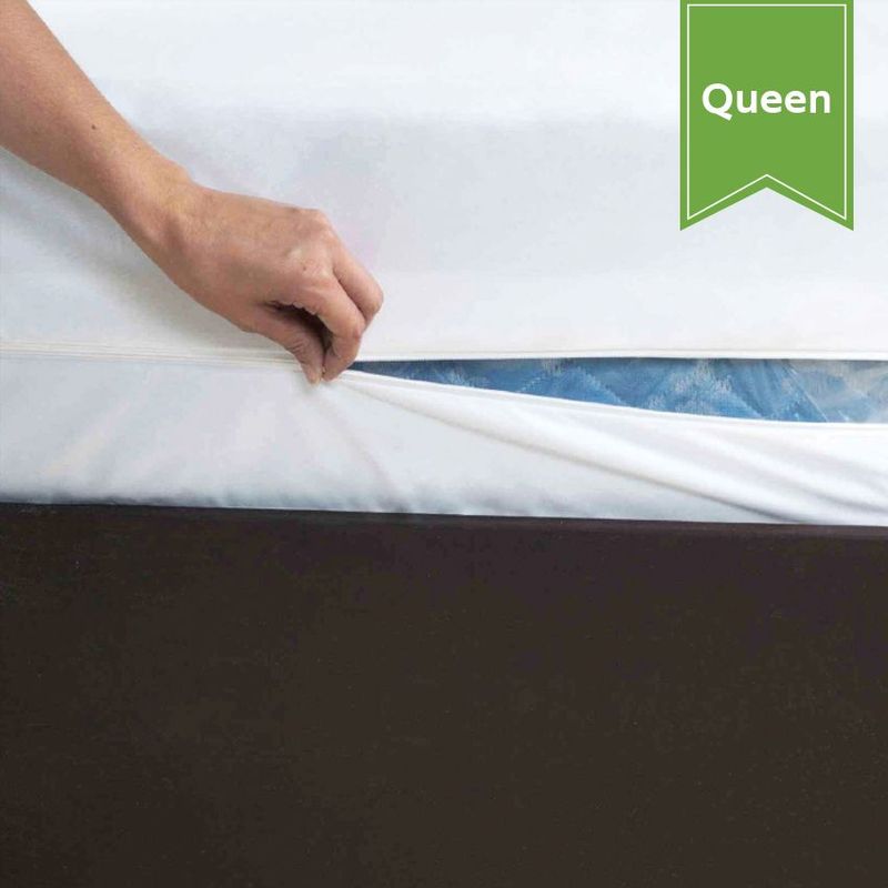 Belem Mattress Encasement Queen Single Piece