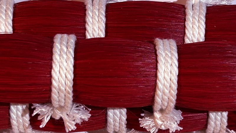 A23 Scarlet Horse Tail Hair – 30”