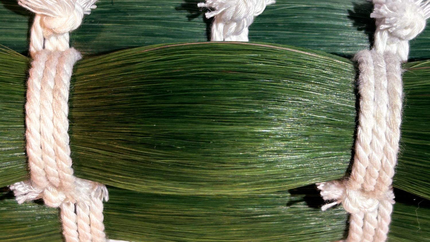A31 Simply Green Horse Tail Hair – 30”