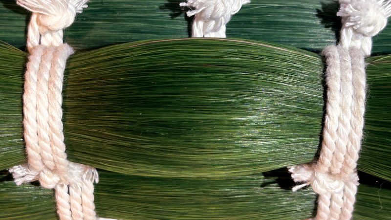 A31 Simply Green Horse Tail Hair – 30” A31 Simply Green Horse Tail Hair – 30”
