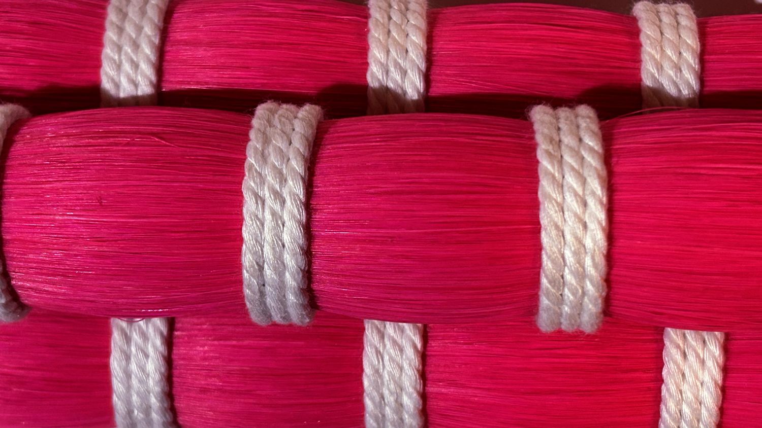 A25 Paradise Pink Horse Tail Hair – 30”