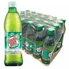 Paca canada dry 300 X 24