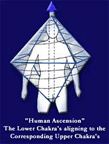 About Head Pyramids